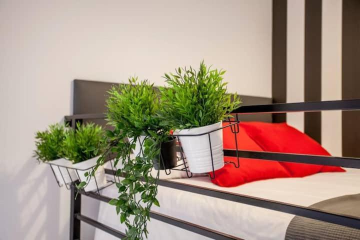 Cool Lofts Center Valencia Hotel Bagian luar foto