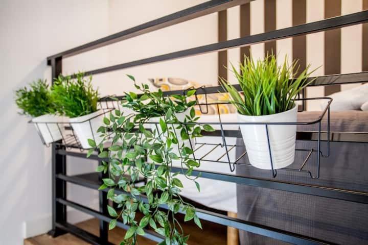 Cool Lofts Center Valencia Hotel Bagian luar foto